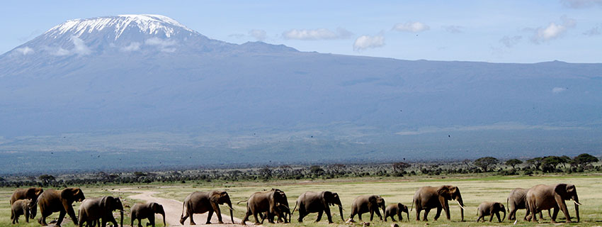 Maasai Mara Adventure