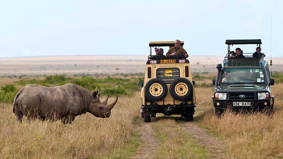 Kenya Safaris